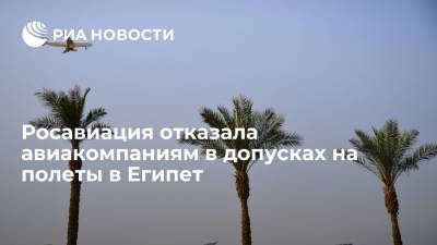 Росавиация отказала авиакомпаниям в допусках на выполнение рейсов на курорты Египта - ria.ru - Москва - Россия - Египет - респ. Саха