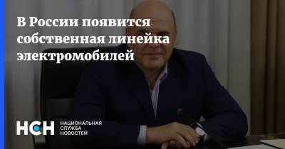 Михаил Мишустин - В России появится собственная линейка электромобилей - nsn.fm - Россия - Того