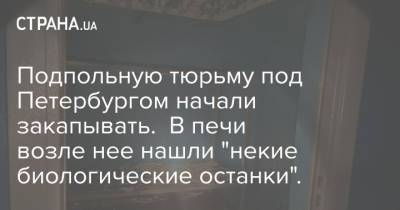 Подпольную тюрьму под Петербургом начали закапывать. В печи возле нее нашли "некие биологические останки". - strana.ua - Россия - Украина - Ленинградская обл. - Санкт-Петербург