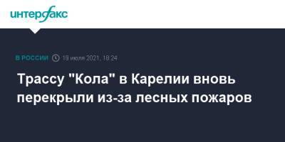 Трассу "Кола" в Карелии вновь перекрыли из-за лесных пожаров - interfax.ru - Москва - район Сегежский - республика Карелия