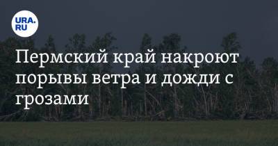 Пермский край накроют порывы ветра и дожди с грозами - ura.news - Пермь - Пермский край