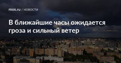 В ближайшие часы ожидается гроза и сильный ветер - mos.ru - Москва
