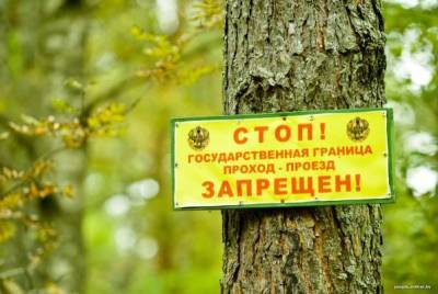 Вильнюс наносит ответный удар: в Белоруссии задержали нелегалов из Литвы - eadaily.com - Белоруссия - Ирак - Литва - Вильнюс