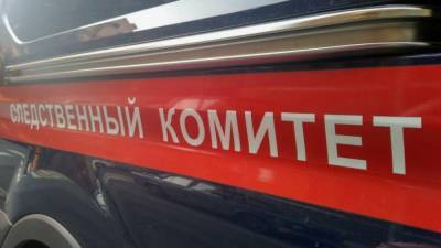 Следствие предъявило обвинение сбившей трех детей на переходе в Солнцеве девушке - inforeactor.ru - Россия - Тверь