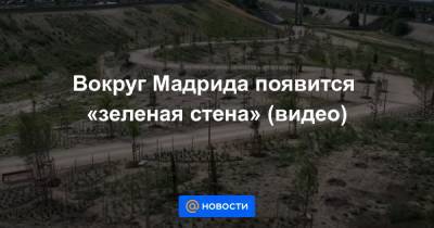 Вокруг Мадрида появится «зеленая стена» (видео) - news.mail.ru - Испания - Мадрид - Экология