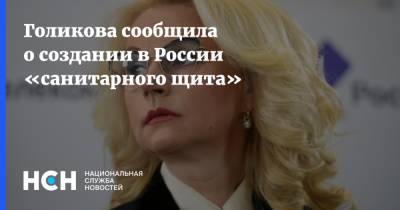 Владимир Путин - Татьяна Голикова - Голикова сообщила о создании в России «санитарного щита» - nsn.fm - Россия
