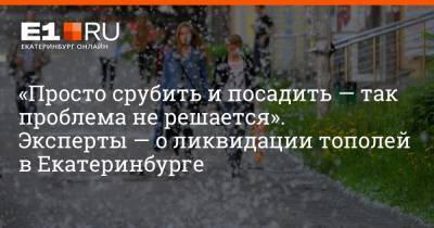 Евгений Куйвашев - Артем Устюжанин - «Просто срубить и посадить — так проблема не решается». Эксперты — о ликвидации тополей в Екатеринбурге - e1.ru - Екатеринбург