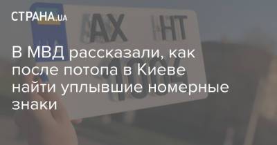 В МВД рассказали, как после потопа в Киеве найти уплывшие номерные знаки - strana.ua - Украина - Киев