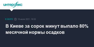 В Киеве за сорок минут выпало 80% месячной нормы осадков - interfax.ru - Москва - Украина - Киев - район Киева