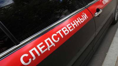 СК возбудил дело из-за развратных действий в отношении ребенка в Иваново - iz.ru - Россия - Израиль - Иваново - Ивановская обл.
