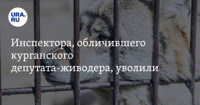 Денис Хахалов - Инспектора, обличившего курганского депутата-живодера, уволили - ura.news - Курганская обл.