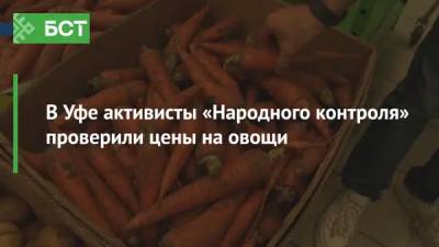 В Уфе активисты «Народного контроля» проверили цены на овощи - bash.news - Башкирия - Уфа