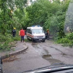 Николай Поворозник - Непогода повалила в Киеве около 150 деревьев. Видео - reporter-ua.com - Киев