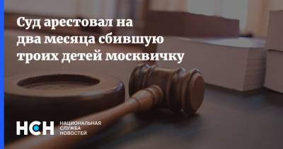 Валерия Башкирова - Суд арестовал на два месяца сбившую троих детей москвичку - nsn.fm - Москва - Россия - Тверь