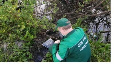 Более 150 обращений за неделю поступило от петербуржцев в экологические службы - piter.tv - Санкт-Петербург