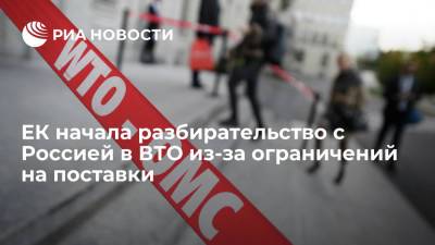 Мария Князева - ЕС оспорит в ВТО российские нормы о субсидировании цены товаров при госзакупках - ria.ru - Россия - Брюссель