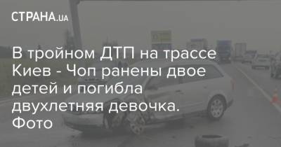 В тройном ДТП на трассе Киев - Чоп ранены двое детей и погибла двухлетняя девочка. Фото - strana.ua - Украина - Киев - Львов - Львовская обл.
