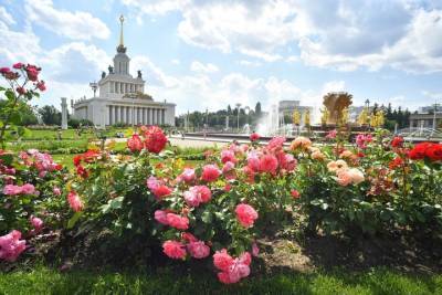 Роман Вильфанд - Синоптики рассказали, когда в столицу вернется ясная погода - vm.ru - Москва - Россия