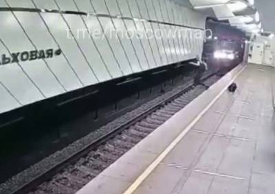 В московском метро подросток-трюкач прыгнул под поезд метро и остался жив - ya62.ru - Москва