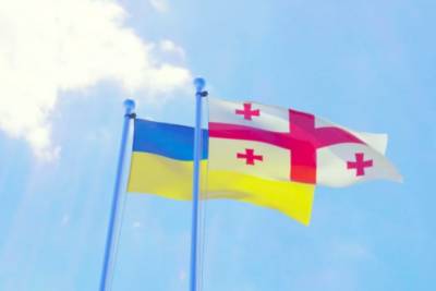 Владимир Зеленский - В Грузии освободили двух осужденных украинских яхтсменов - rupor.info - Украина - Грузия