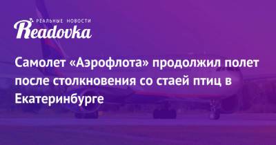 Самолет «Аэрофлота» продолжил полет после столкновения со стаей птиц в Екатеринбурге - readovka.news - Сочи - Екатеринбург - Уральск - Геленджик