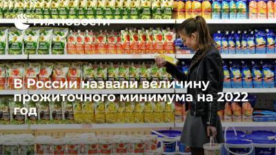 Михаил Мишустин - В России прожиточный минимум на 2022 год составит 11 950 рублей - ria.ru - Москва - Россия