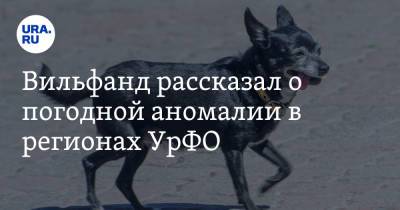 Роман Вильфанд - Вильфанд рассказал о погодной аномалии в регионах УрФО - ura.news - Башкирия - респ. Татарстан - Челябинская обл. - респ. Чувашия - респ. Дагестан - респ. Чечня - Свердловская обл. - Курганская обл. - Пермский край - окр. Уральский