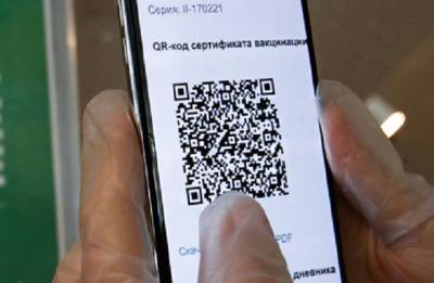 У сотрудников ФСБ и ФСО возникли проблемы с получением QR-кодов - novostiua.news - Москва - Украина - Московская обл.