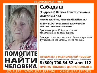 В Кировском районе без вести пропала 78-летняя женщина - ivbg.ru - Россия - Украина - Ленинградская обл. - р-н Кировский - Россияне