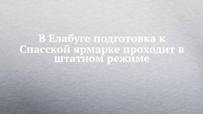 В Елабуге подготовка к Спасской ярмарке проходит в штатном режиме - chelny-izvest.ru