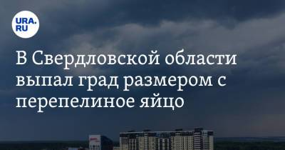 В Свердловской области выпал град размером с перепелиное яйцо. Фото - ura.news - Москва - Екатеринбург - Свердловская обл.