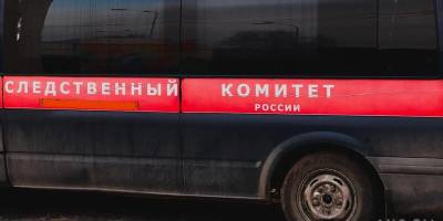 Зараженная ВИЧ 2-летняя девочка из Кузбасса умерла после отказа ее матери от лекарств - runews24.ru - Кемеровская обл.