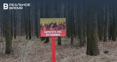 В Татарстане сохраняется штормовое предупреждение о пожарной опасности лесов - realnoevremya.ru - респ. Татарстан