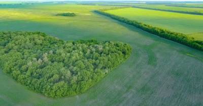 В Украине запустили Viber-бот LandInvest для проверки паевых участков в госреестрах - delo.ua - Украина