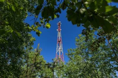 Отдыхающие на дачах стали в 3,5 раза больше пользоваться мобильным интернетом - chita.ru - Чита