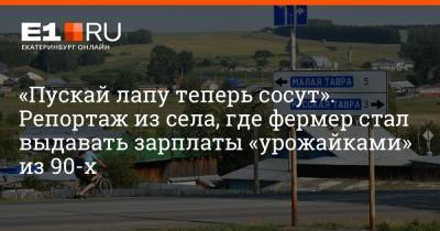 Артем Устюжанин - «Пускай лапу теперь сосут». Репортаж из села, где фермер стал выдавать зарплаты «урожайками» из 90-х - e1.ru - Екатеринбург