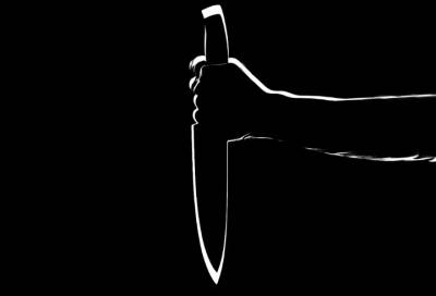 Во Всеволожском районе задержали подозреваемую в убийстве сожителя - online47.ru - Россия - Ленинградская обл. - Всеволожск