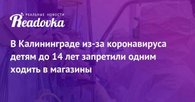 Антон Алиханов - В Калининграде из-за коронавируса детям до 14 лет запретили одним ходить в магазины - readovka.news - Краснодарский край - Калининград - Калининградская обл.