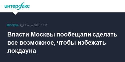 Анастасий Раков - Анастасия Ракова - Власти Москвы пообещали сделать все возможное, чтобы избежать локдауна - interfax.ru - Москва