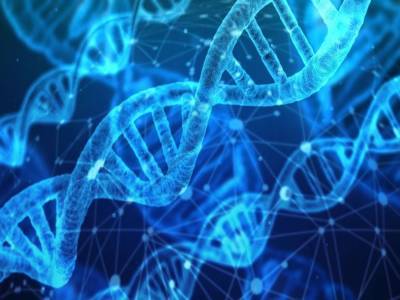 Выявлены редкие генетические варианты, которые защищают от ожирения - polit.ru
