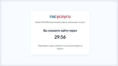 Владимир Путин - Портал госуслуг ограничил доступ из-за наплыва пользователей - vesti.ru