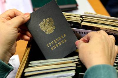 С начала года более 15 тысяч псковичей выбрали электронную трудовую книжку - mk-pskov.ru - Россия - Псковская обл. - Псков