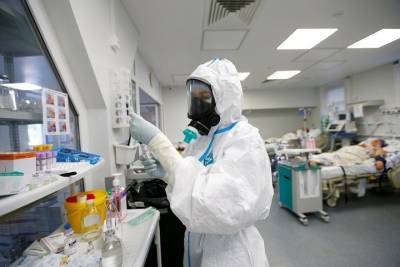 В Краснодарском крае зафиксирован рекорд по суточной заболеваемости COVID-19 - kuban.mk.ru - Сочи - Краснодарский край - Краснодар - Новороссийск