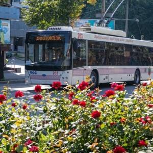 В Запорожье в день матча украинской сборной продлят работу общественного транспорта - reporter-ua.com - Украина - Англия - Запорожье