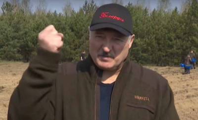 Александр Лукашенко - Лукашенко рассказал о проведенной в Белоруссии масштабной спецоперации - news-front.info - Белоруссия - Германия