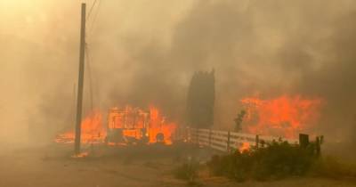 Лесной пожар уничтожил деревню в Канаде во время рекордной жары (видео) - focus.ua - Украина - Англия - Колумбия - Канада