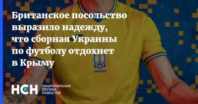 Станислав Черчесов - Британское посольство выразило надежду, что сборная Украины по футболу отдохнет в Крыму - nsn.fm - Россия - Украина - Крым - Англия - Донецк