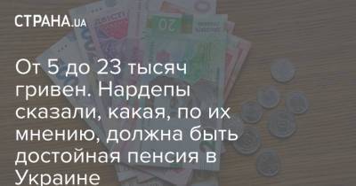 Сергей Тарута - Николай Тищенко - Александр Качура - От 5 до 23 тысяч гривен. Нардепы сказали, какая, по их мнению, должна быть достойная пенсия в Украине - strana.ua - Украина - Киев - Ужгород