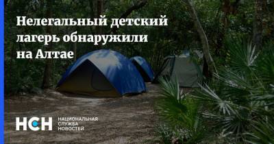 Нелегальный детский лагерь обнаружили на Алтае - nsn.fm - Москва - Россия - респ. Алтай