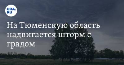 На Тюменскую область надвигается шторм с градом - ura.news - Тюменская обл.
